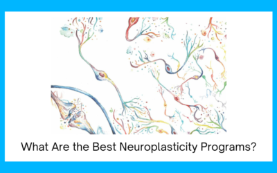 What Are the Best Neuroplasticity Programs?