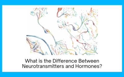 What is the Difference Between Neurotransmitters and Hormones?