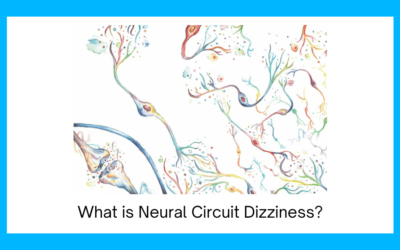 What is Neural Circuit Dizziness?