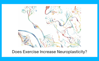 Does Exercise Increase Neuroplasticity?