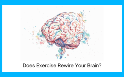 Does Exercise Rewire Your Brain?